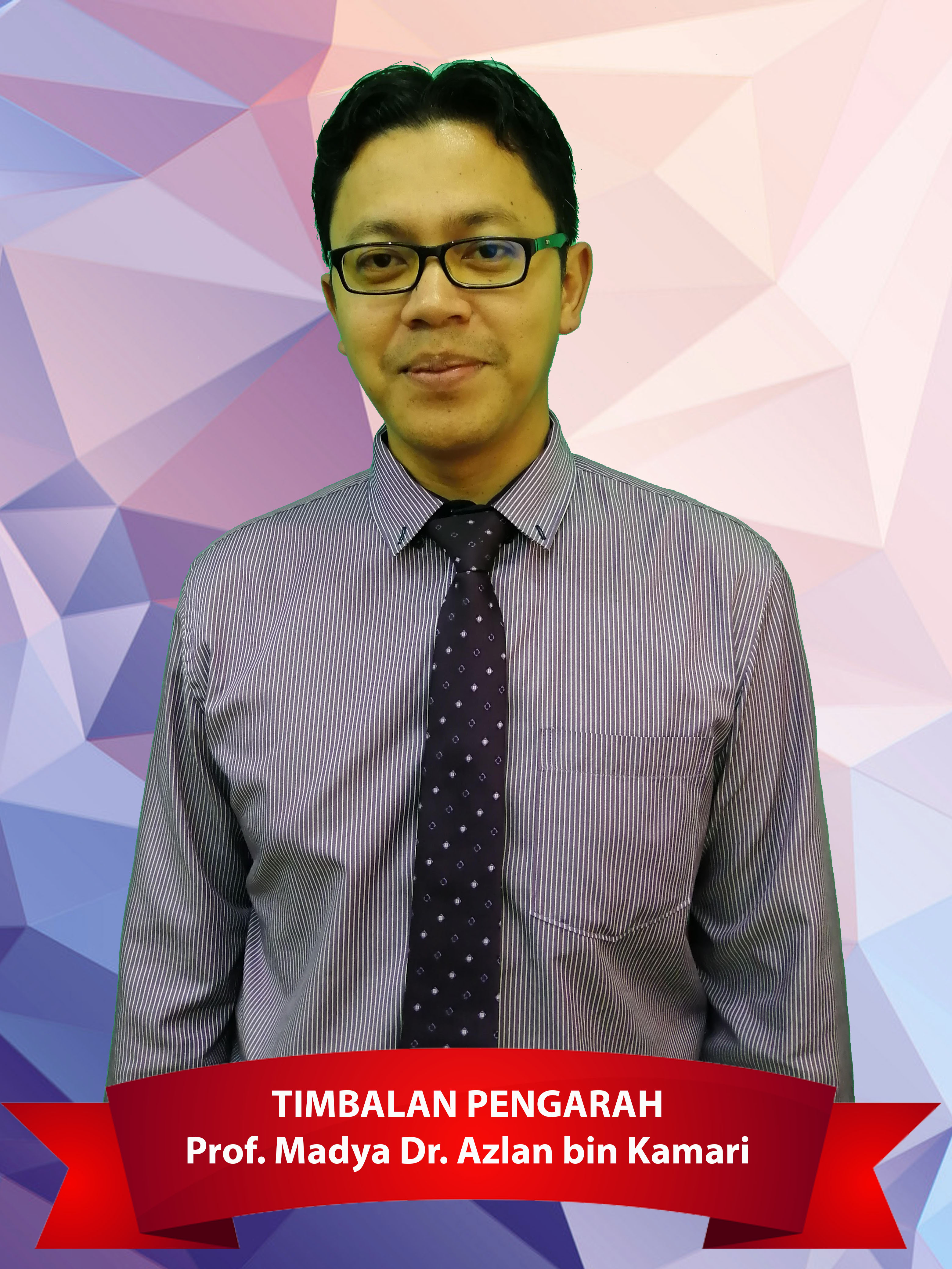 Profesor ChM. Dr. Azlan bin Kamari