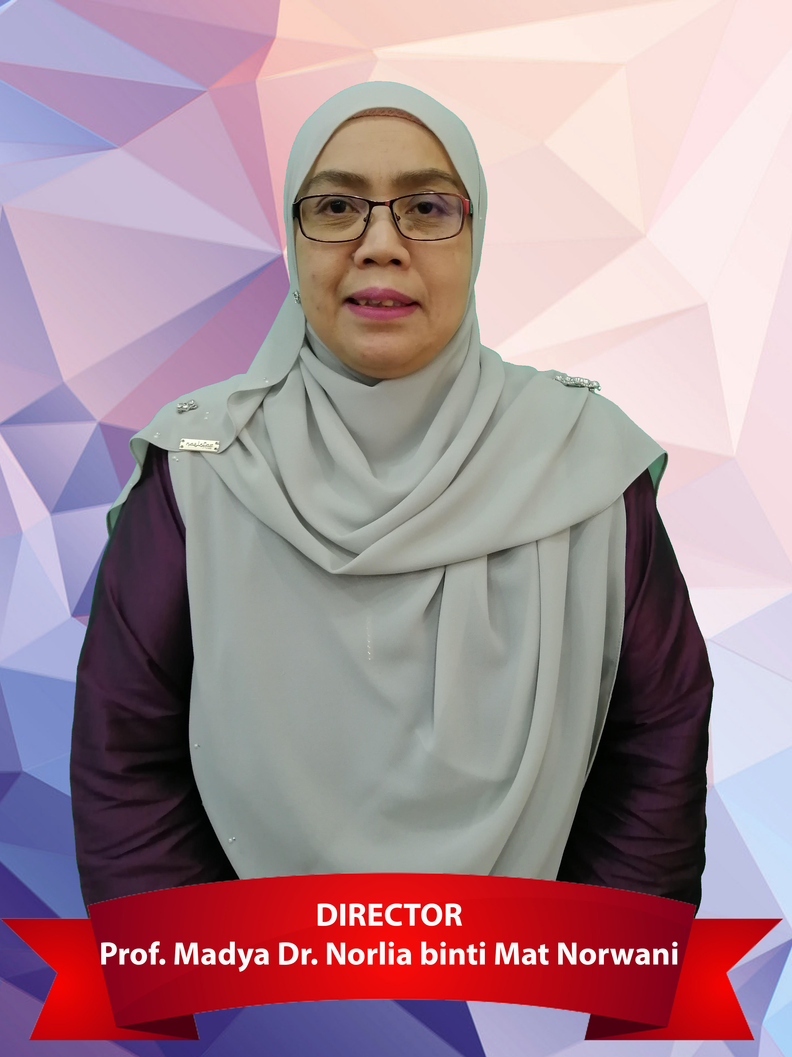 Prof. Madya Dr. Norlia binti Mat Norwani